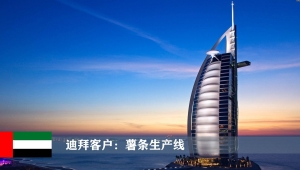 迪拜客戶：大型薯條生產線