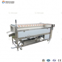 鳳翔 PX-1500 高壓噴淋式土豆清洗拋光機