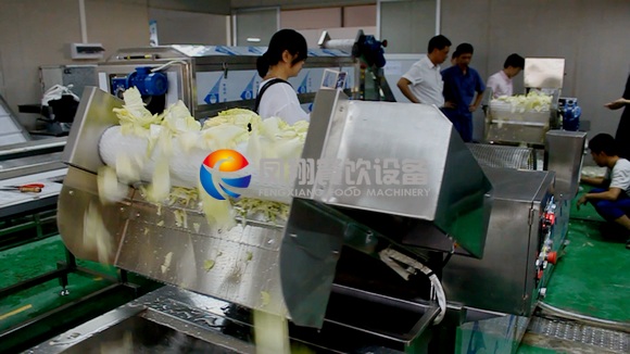 噴淋型果蔬氣泡清洗機 