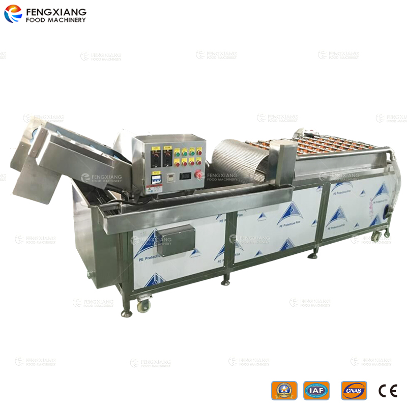 噴淋型果蔬氣泡清洗機 