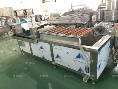 噴淋型果蔬氣泡清洗機 
