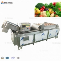 鳳翔WA-2000 噴淋型蔬果氣泡清洗機