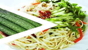 蔬果類切絲方案