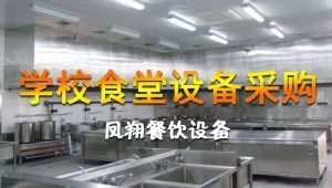 營(yíng)養(yǎng)衛(wèi)生的學(xué)生餐加工設(shè)備找鳳翔！