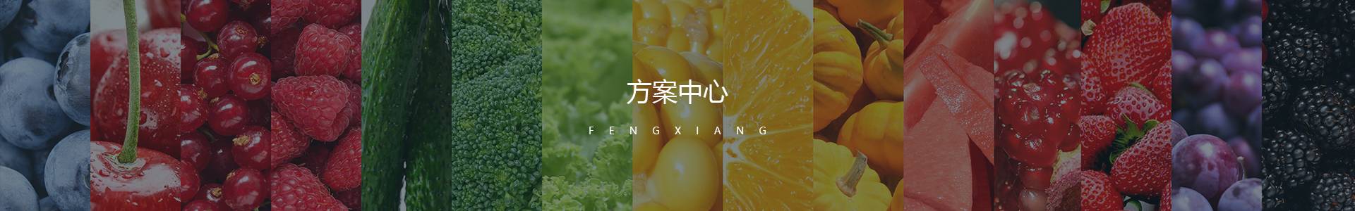 方案中心