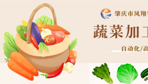 開啟新天地|蔬菜加工設備