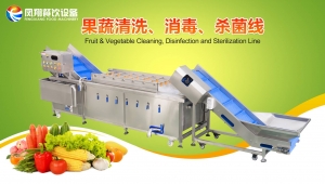 智能清洗生產線，守護純凈果蔬