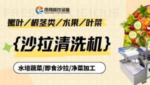 一臺沙拉清洗機(jī)是如何解決我的困擾