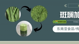 從葉片到精華，斑斕葉加工指南
