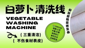 從田間到流水線，解碼白蘿卜清洗線的潔凈法則